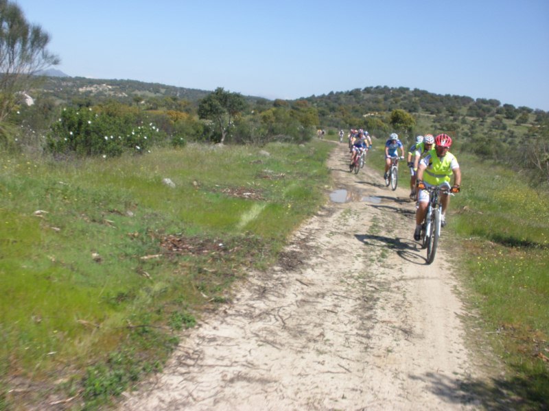 CAMINO DEL V&Eacute;RTICE